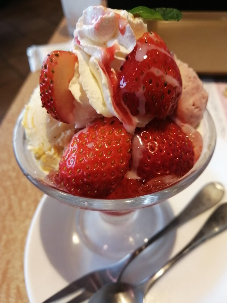 IMG_20210221_170436-768x1024 test