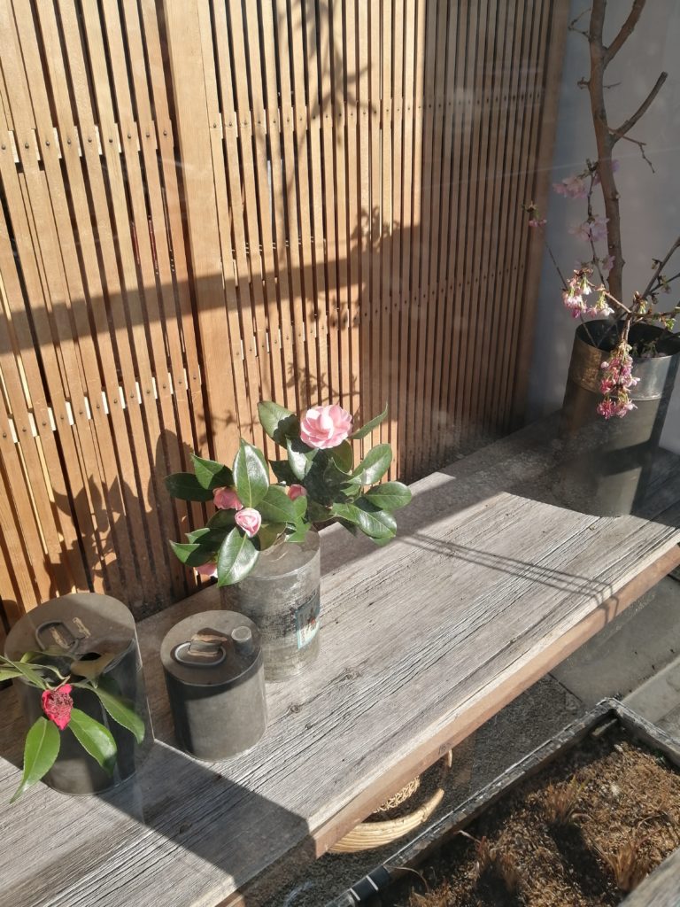 IMG_20210223_151516-768x1024 test